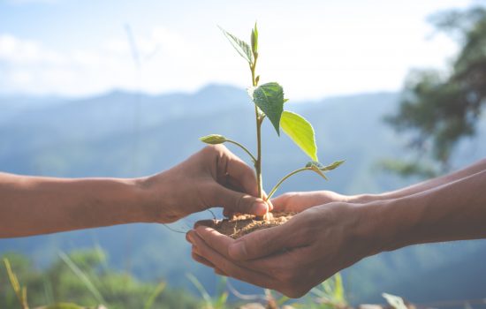 Concept of environmental conservation in the garden for children.